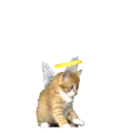 luijiiw